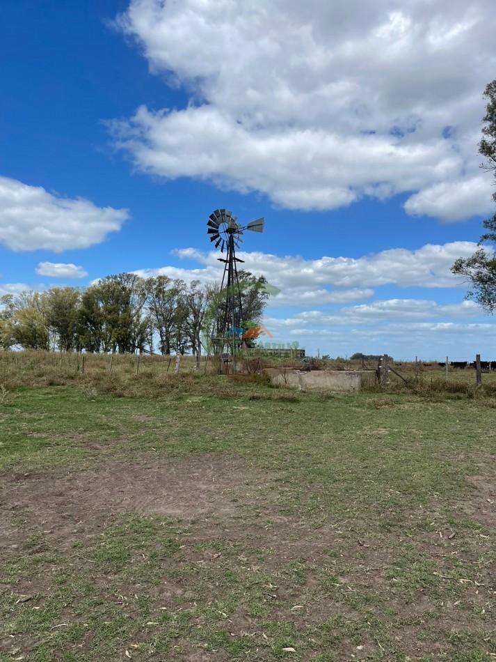 78 ha Mixtas - Saladillo