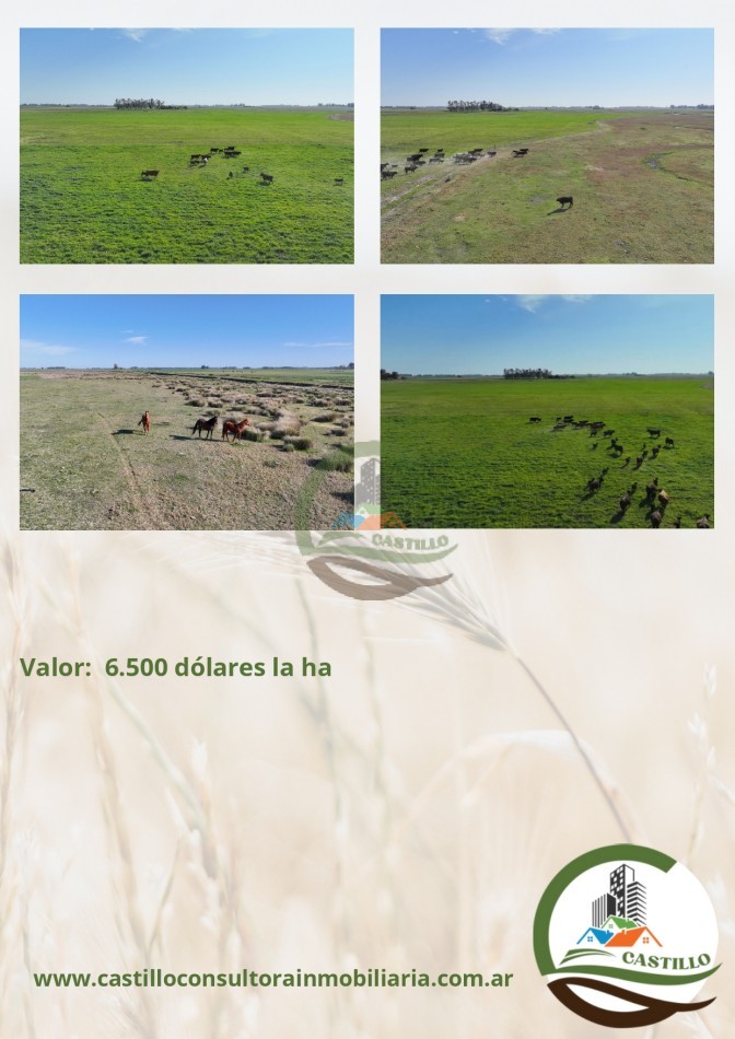168 ha mixtas - bragado
