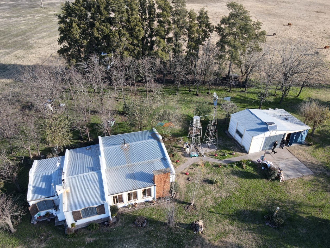 12,6 ha Mixtas - Saladillo