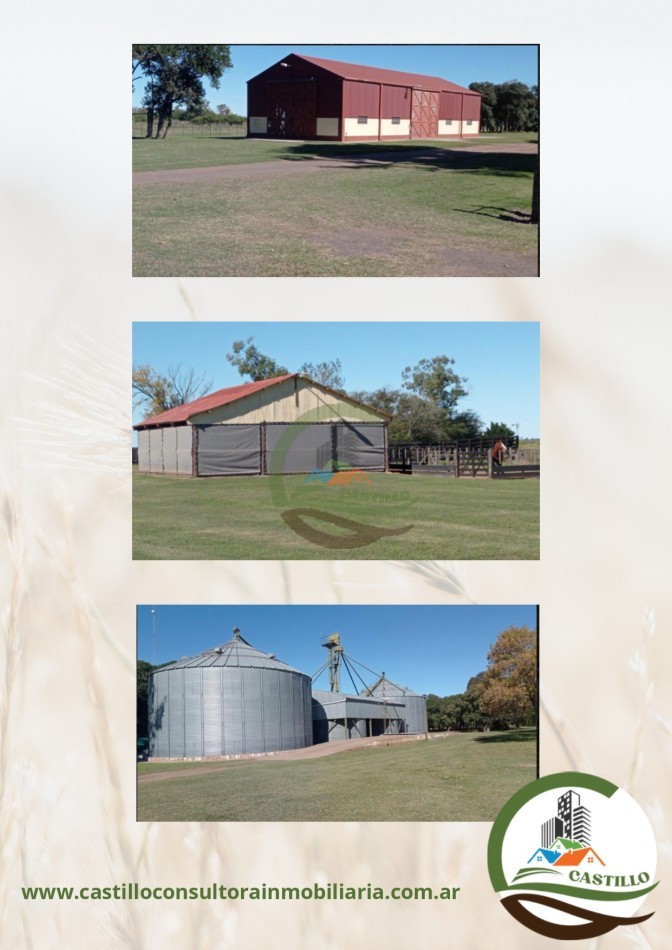 1227 ha Agricolas - villegas