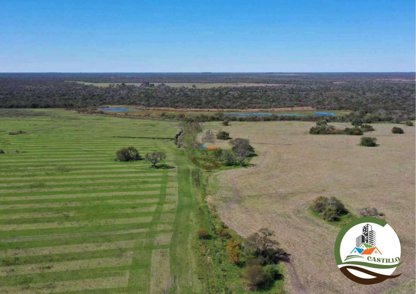 2658 ha Mixto - Entre Rios