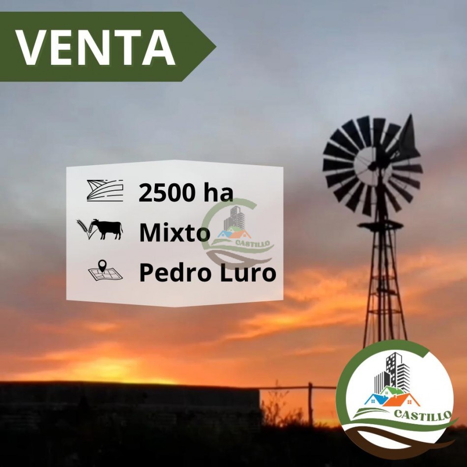 2500 ha mixtas - pedro luro