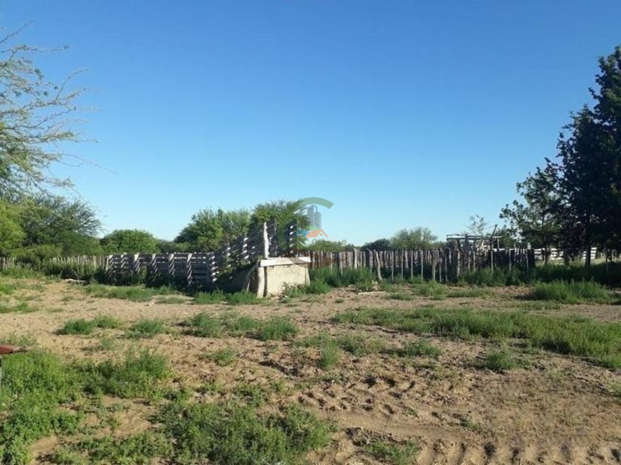 4954 Ha Ganadero - La Adela - La Pampa