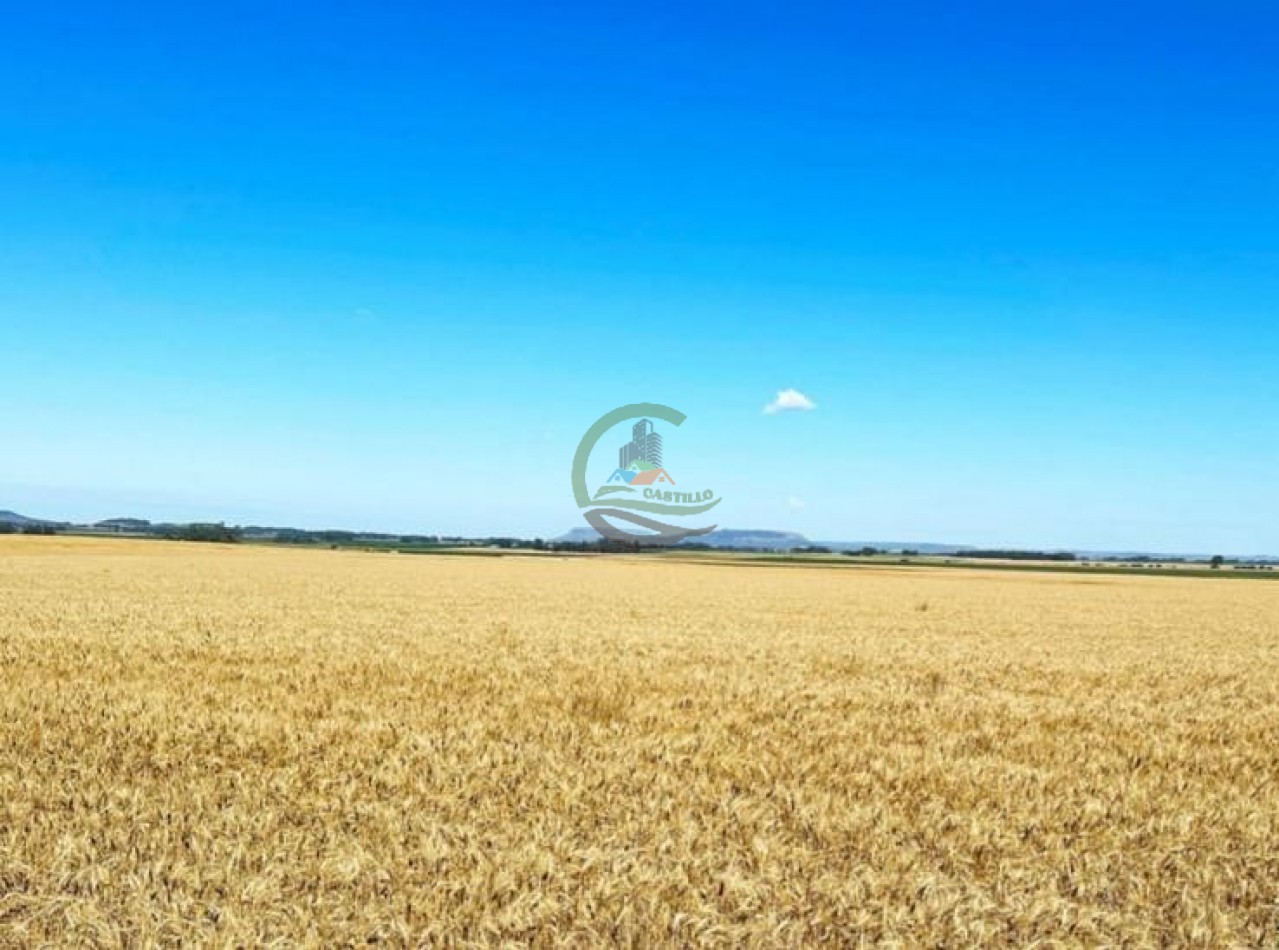 1970 Ha Agricolas - Balcarce