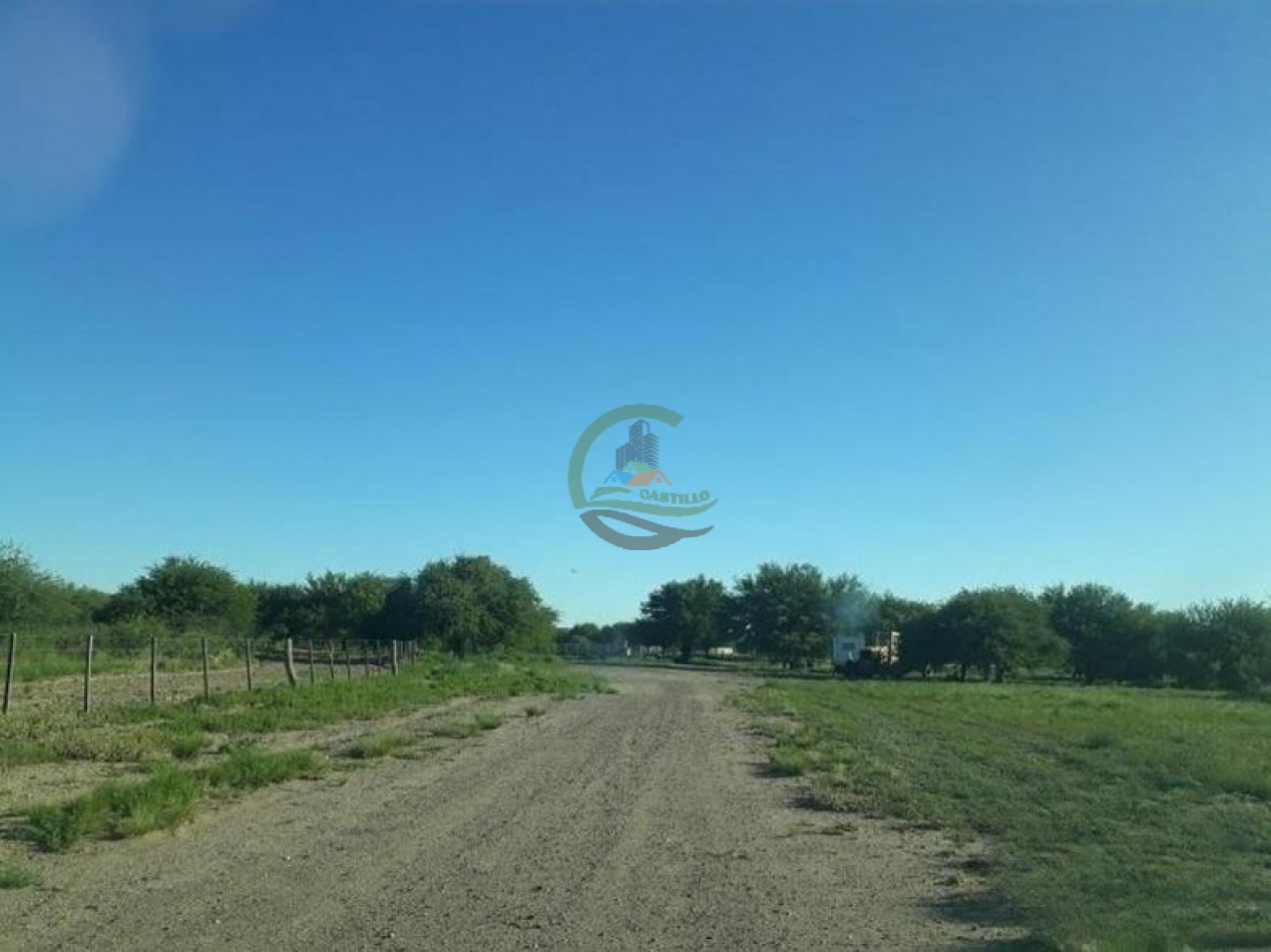 4954 Ha Ganadero - La Adela - La Pampa