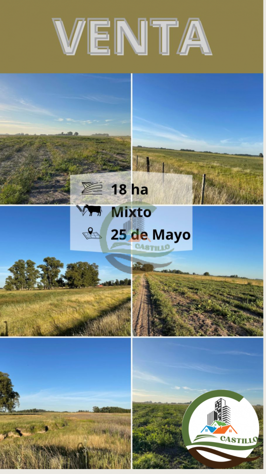 18 ha Mixtos - Pedernales