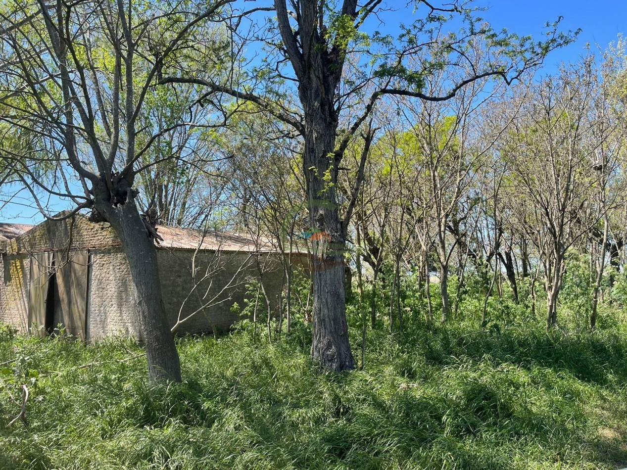 102 ha Agricolas - 25 de Mayo 