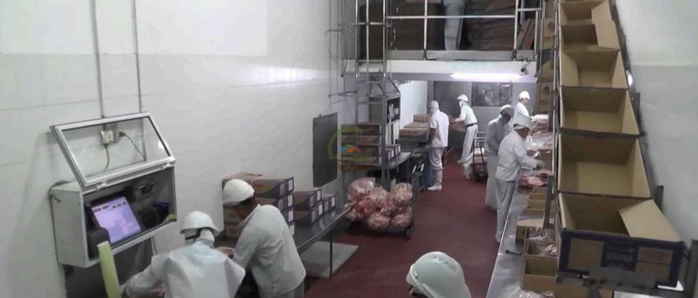 Frigorifico - con feedlot- Exportadora - La Adela - La Pampa