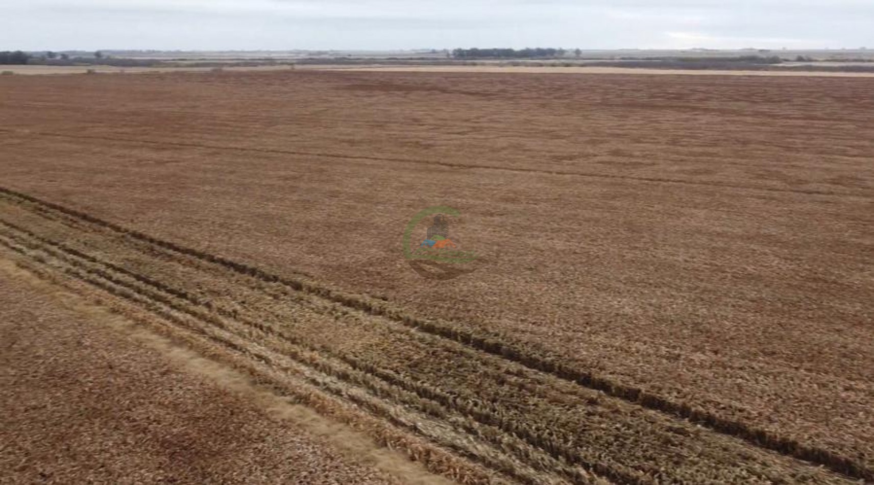 300 Ha Agricolas - Armstrong - Santa Fe