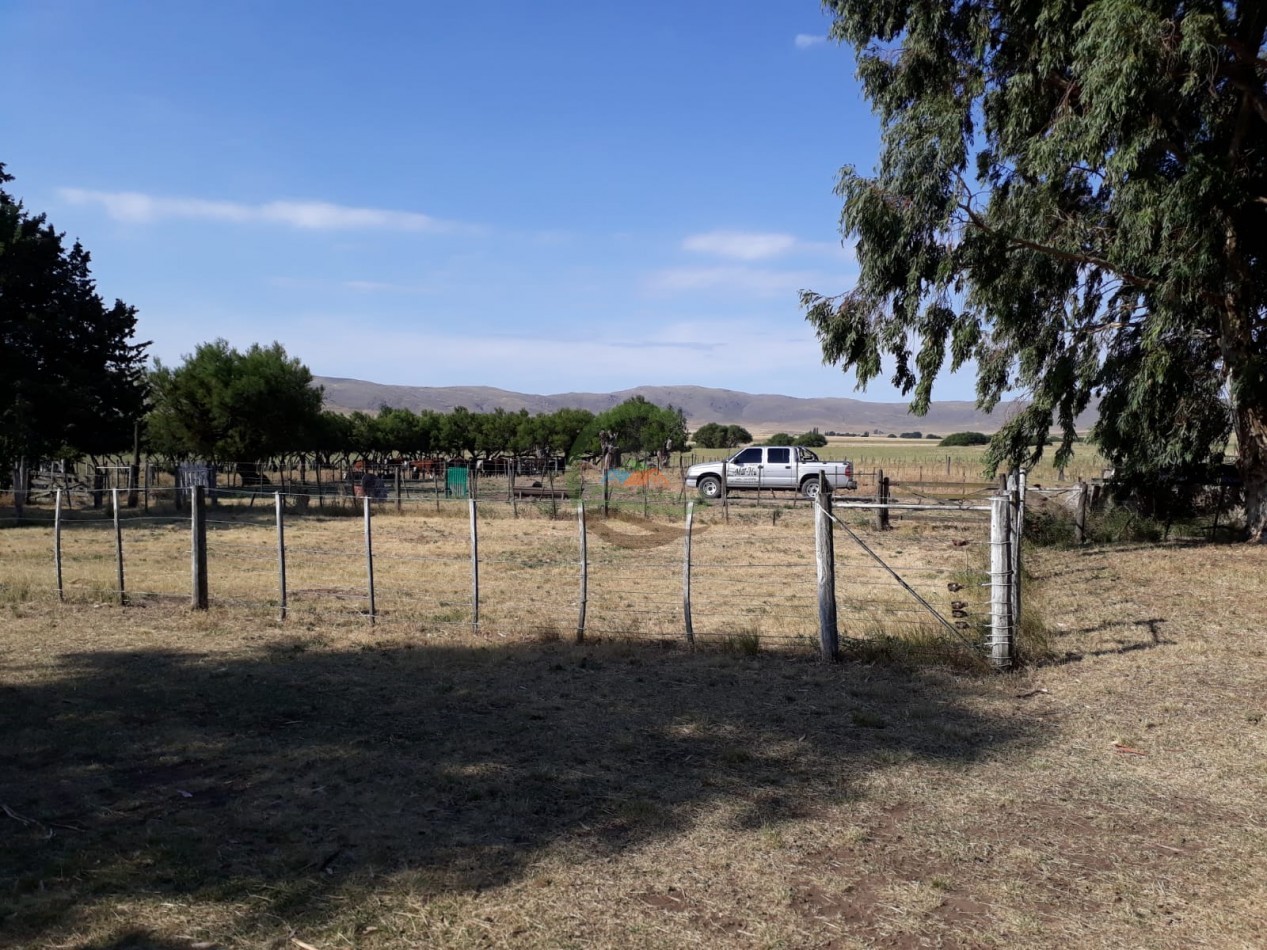 100 ha MIxtas - Sierras de la Ventana