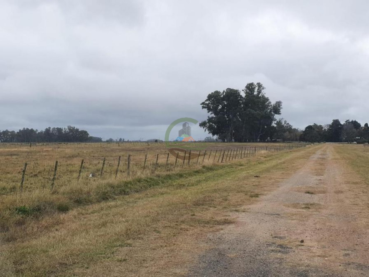 175 Ha Mixtas - Abasto - La Plata