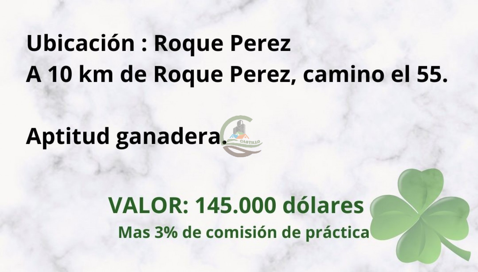 29 ha ganaderas - roque perez