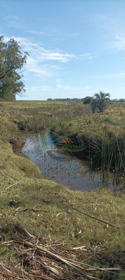 169 ha Mixtas - Maldonado - Uruguay