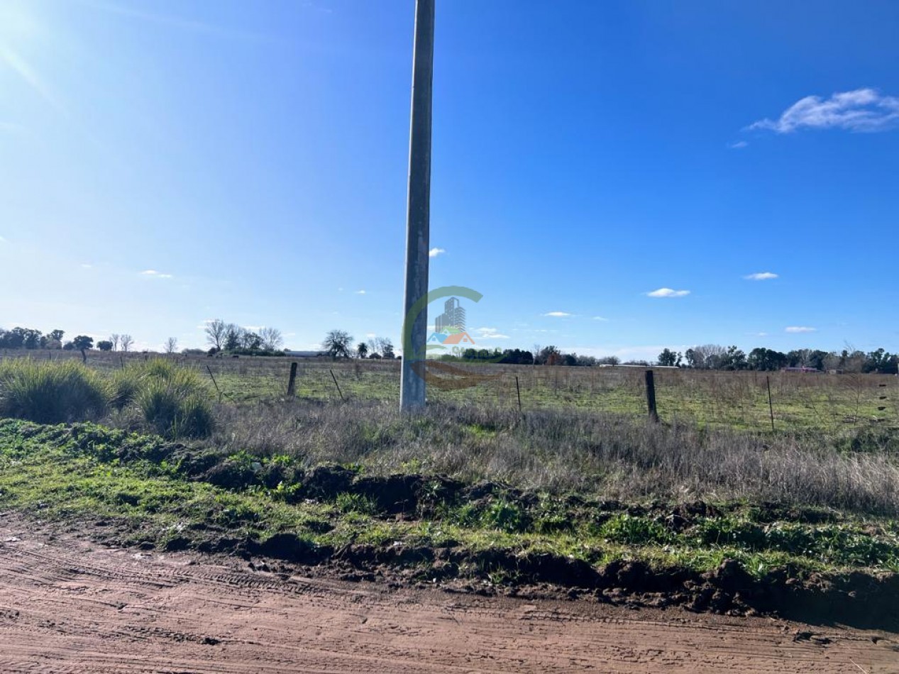 10,5 ha - Saladillo