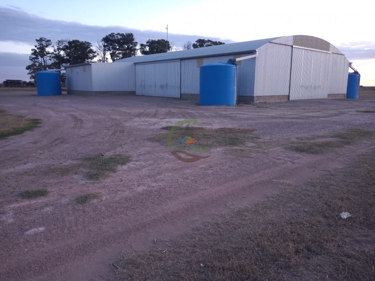810 ha Agricolas - Fortin Inca - Santiago del Estero