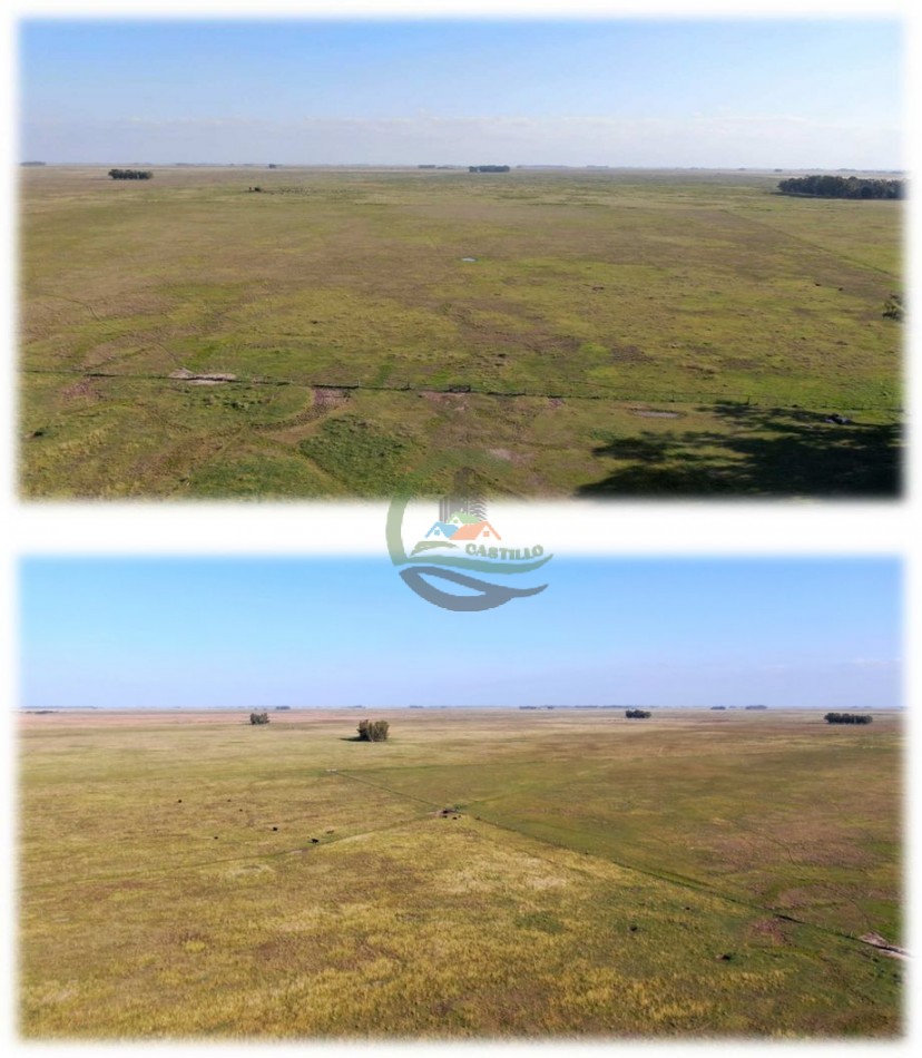 438 Ha Ganadero - Crotto - Tapalque