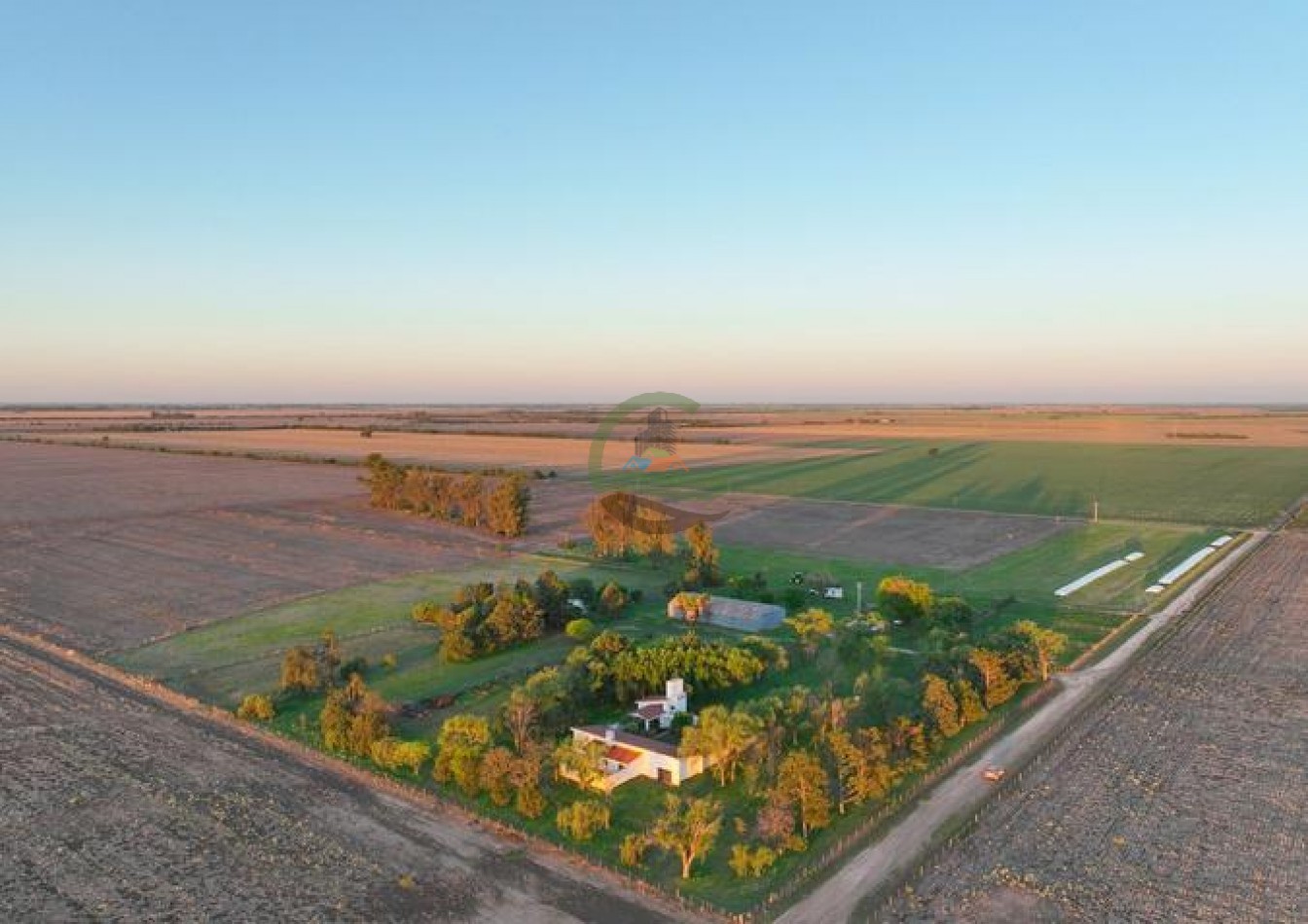 950 Ha Agricolas - Monte Cristo - Cordoba 