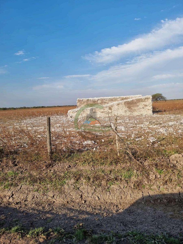400 Ha Ganaderas - Gregoria Perez de Denis - Santa Fe