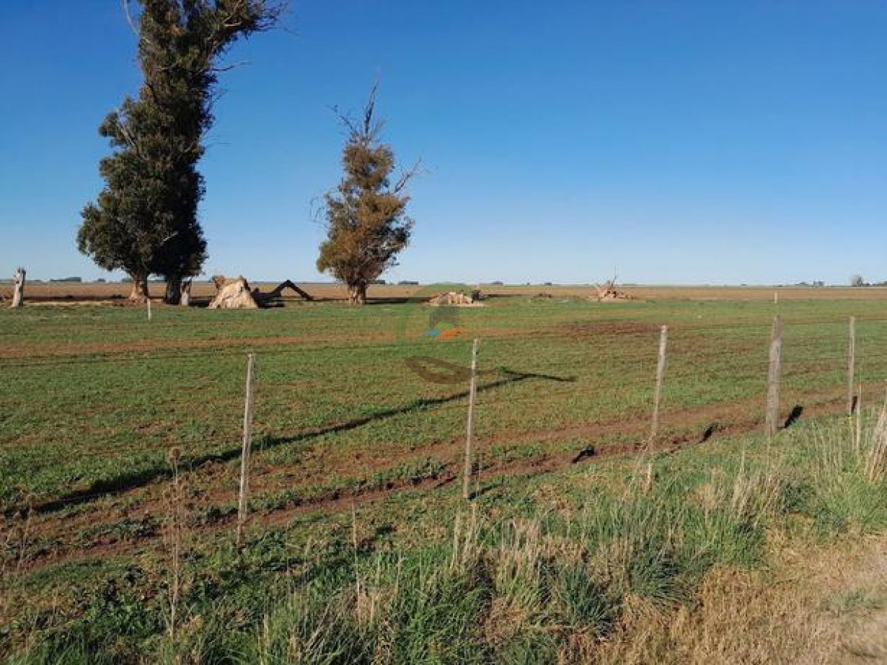 324 Ha Agricolas - San Cayetano