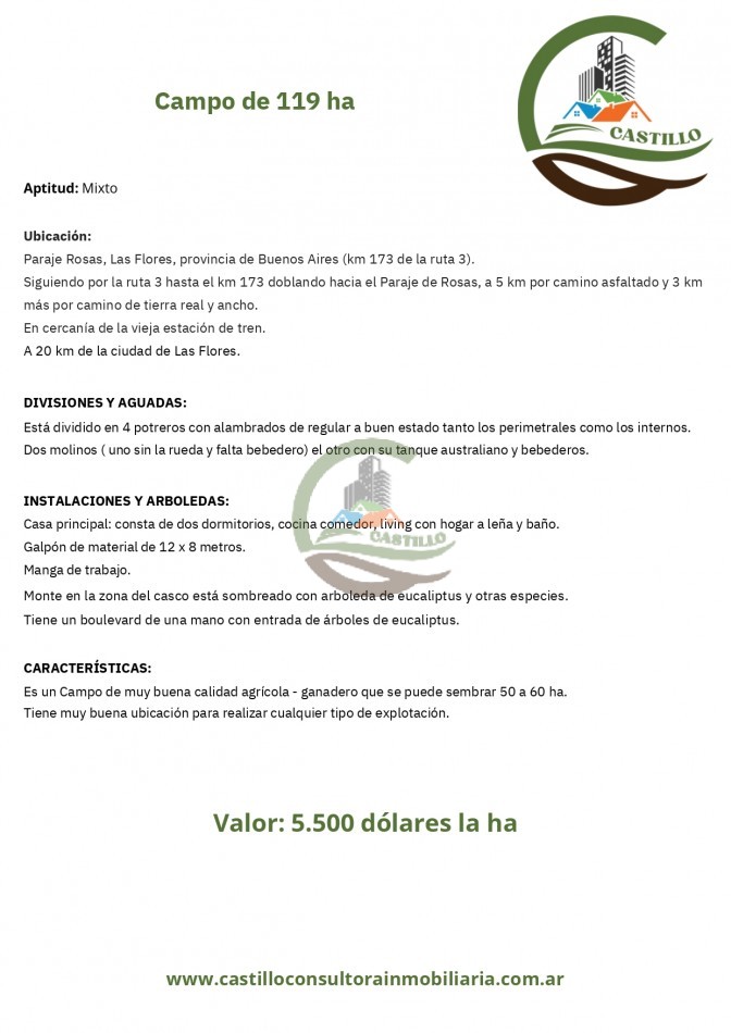 119 ha mixtas - las flores