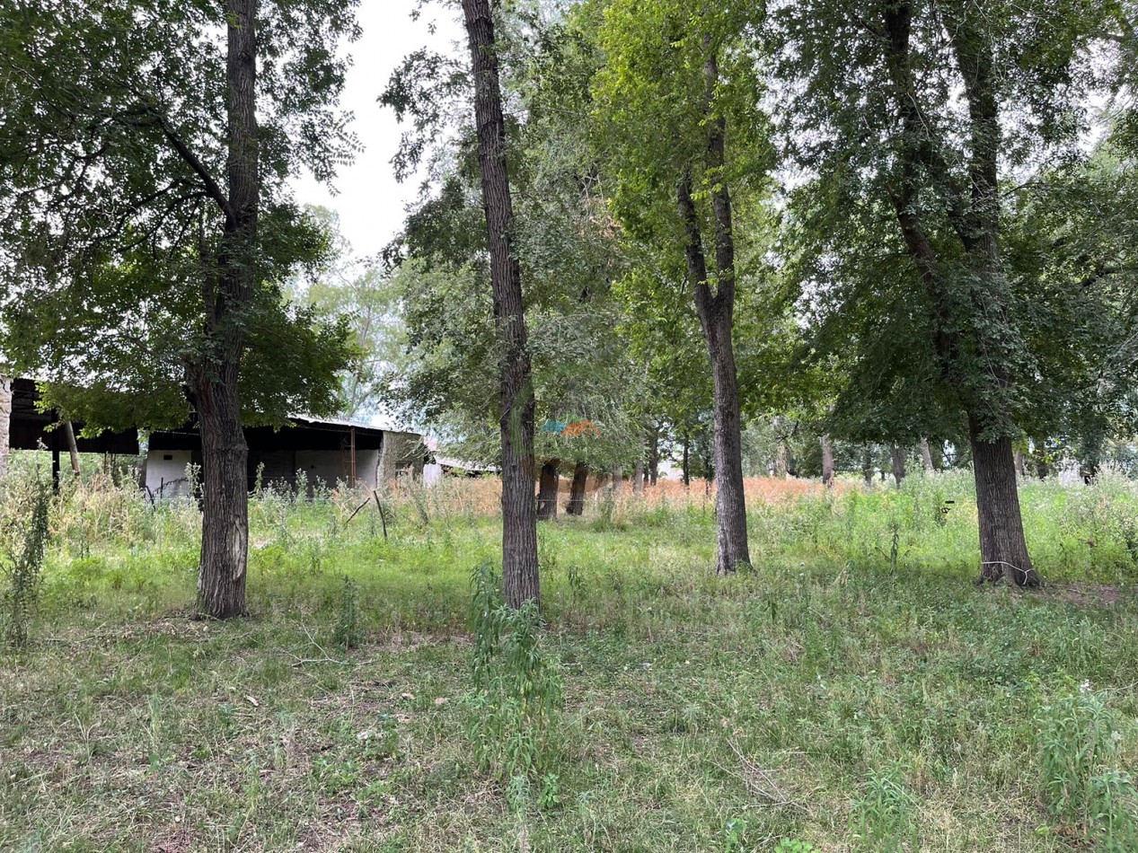 109 ha Feed Lot - Las Flores