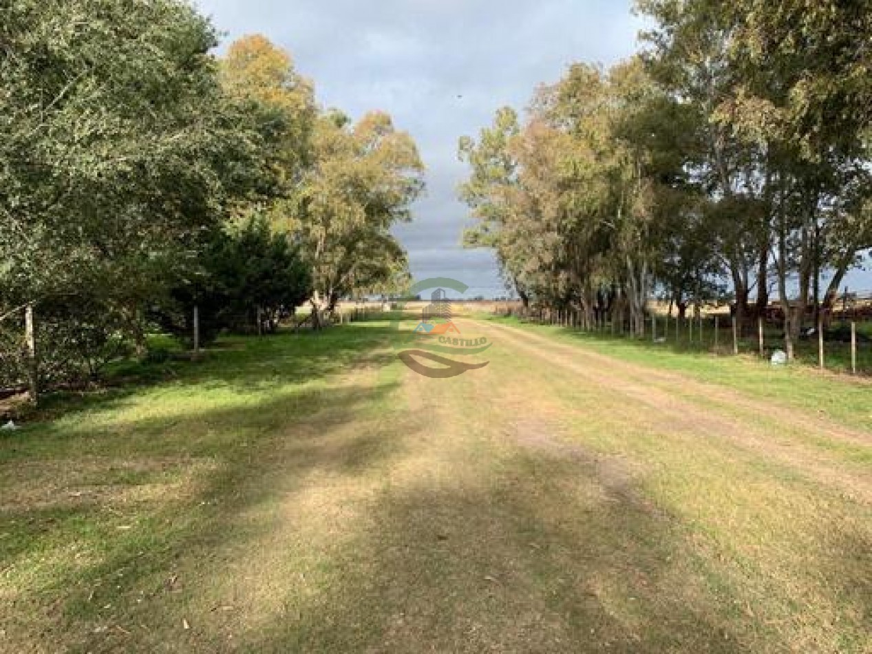 1370 Ha Agricolas - Gral Alvear