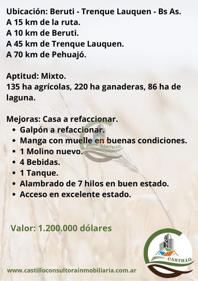 441 mixtas - trenque lauquen
