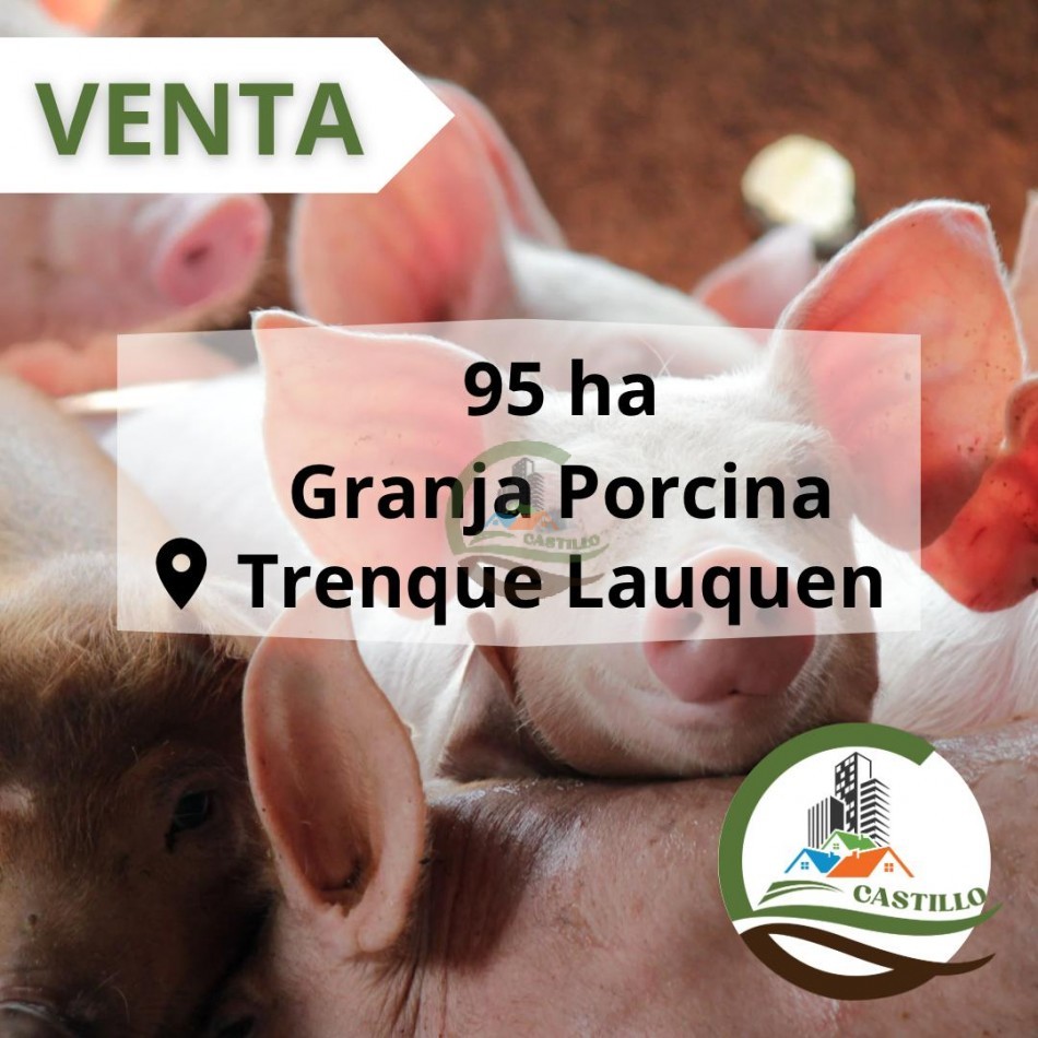95 Ha Granja de Cerdos - Trenque Lauquen