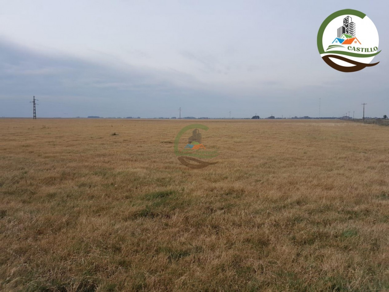 1025 ha mixta - saladillo