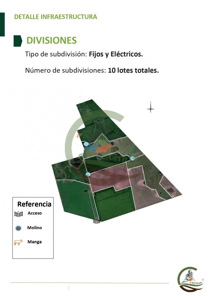 315 ha Mixto - Balcarce