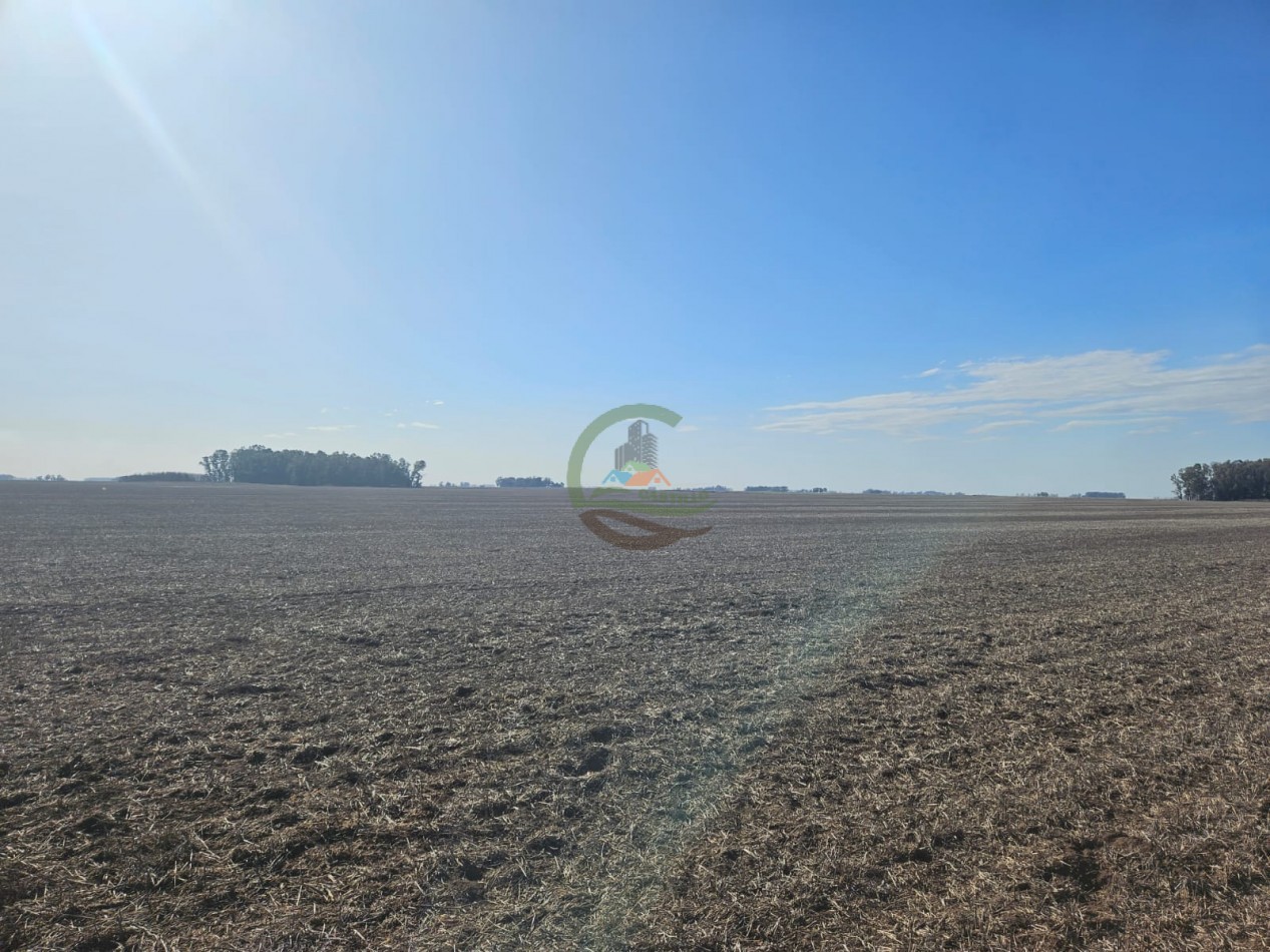 797 ha Agricolas - Bolivar