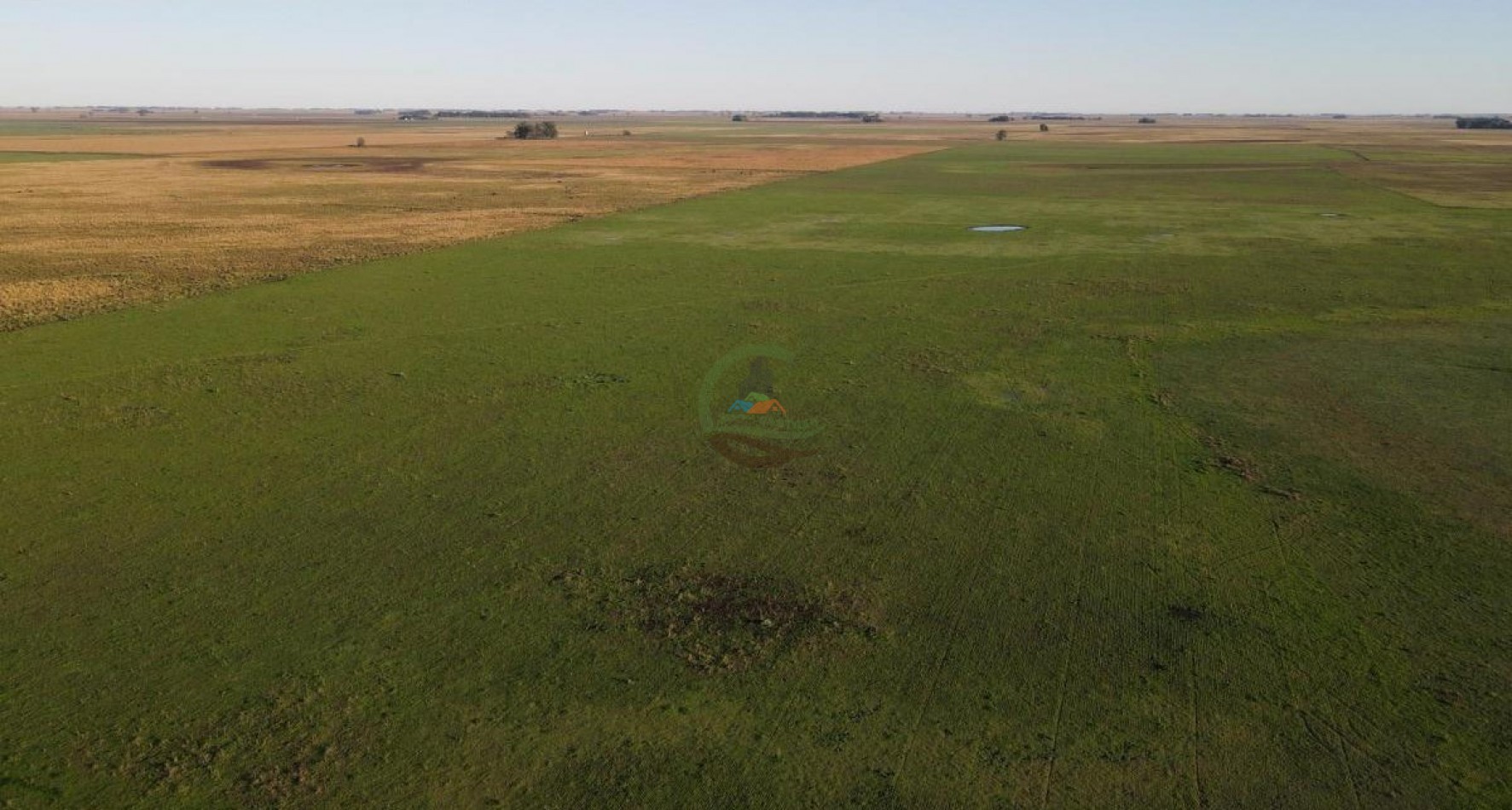 1437 Ha Mixta - Olavarria