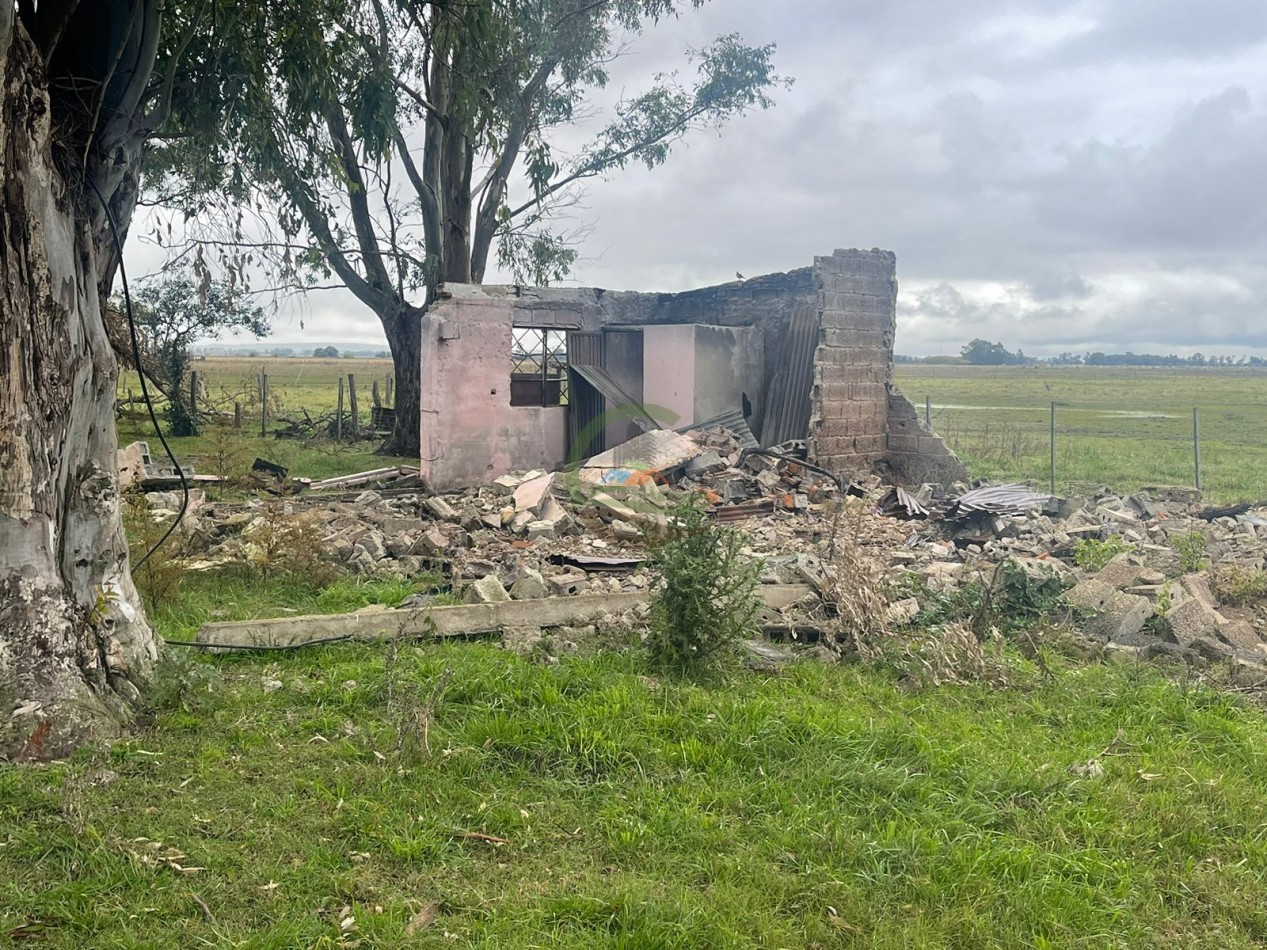 47 ha Ganadera - Olavarria
