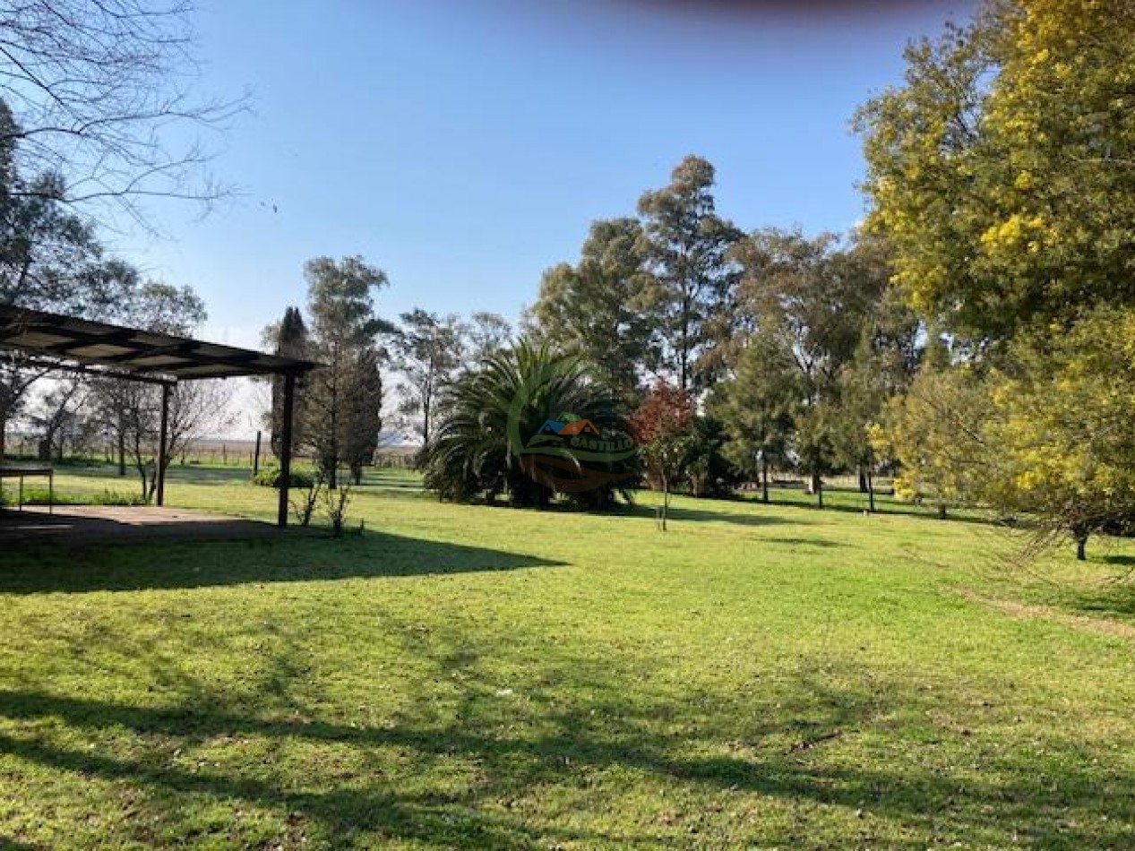 552 ha agricolas - gral alvear