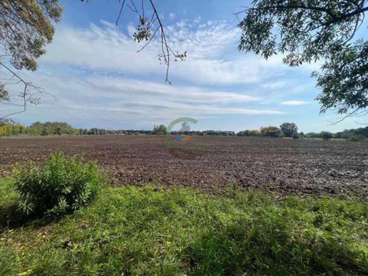 37,5 Ha Agricolas - Zarate