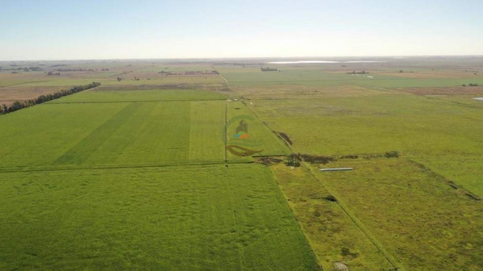 1138 ha agricolas - gral villegas