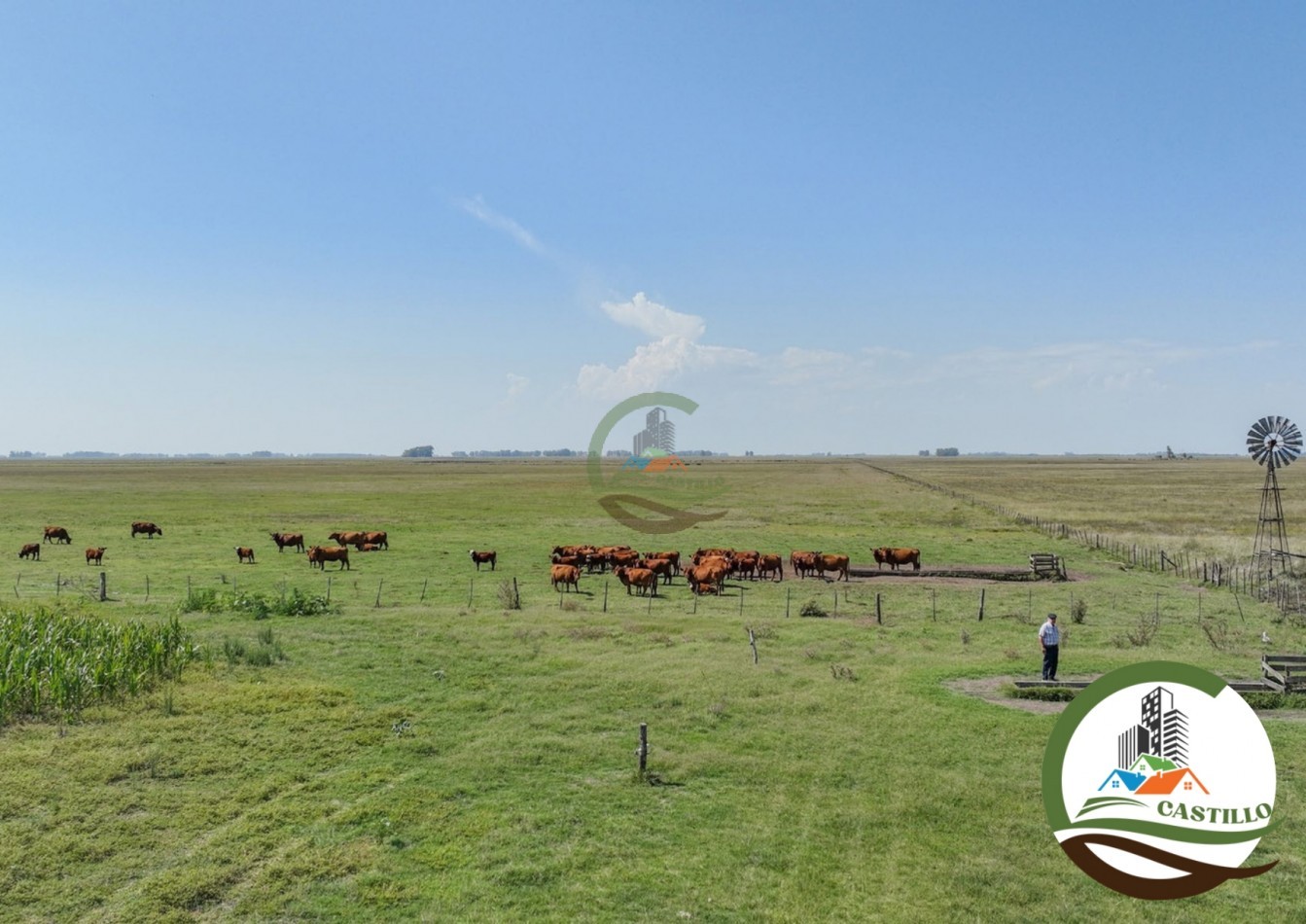 3275 ha ganaderas - general alvear