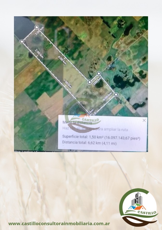 157 ha agricolas - trenque lauquen
