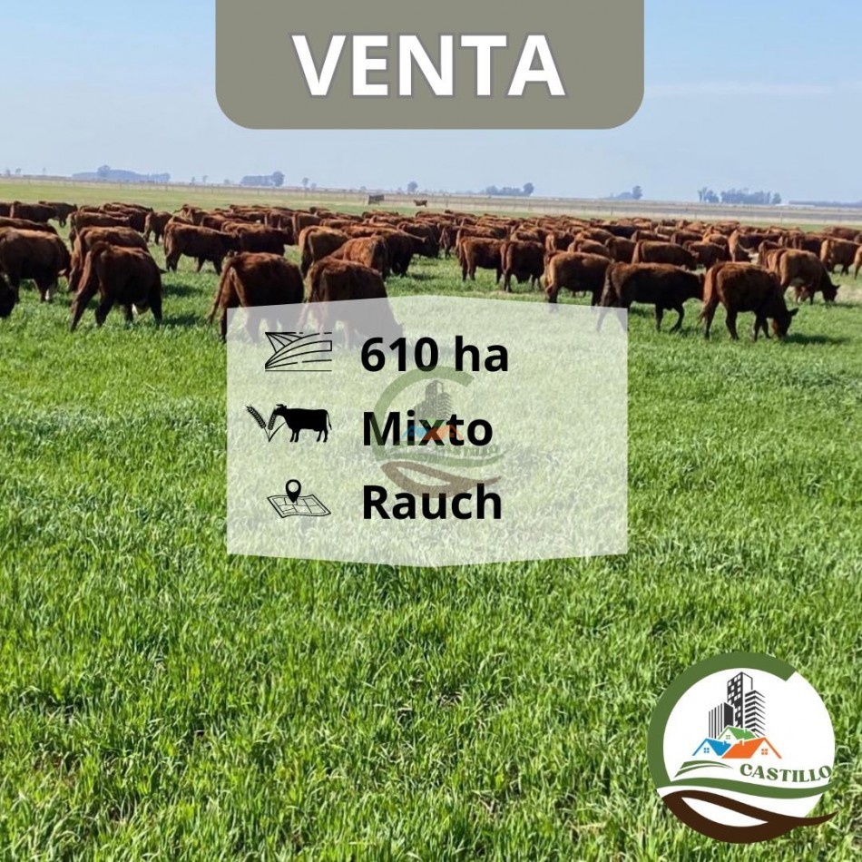 617 ha mixtas - rauch