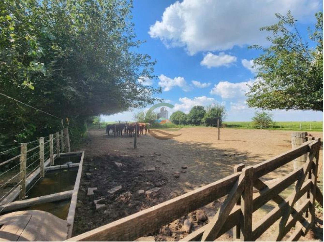 144 Ha Agricolas - Cavanagh - Cordoba 