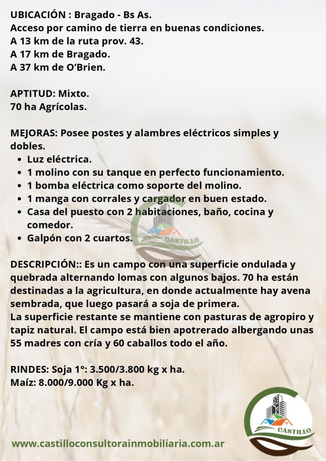 168 ha mixtas - bragado