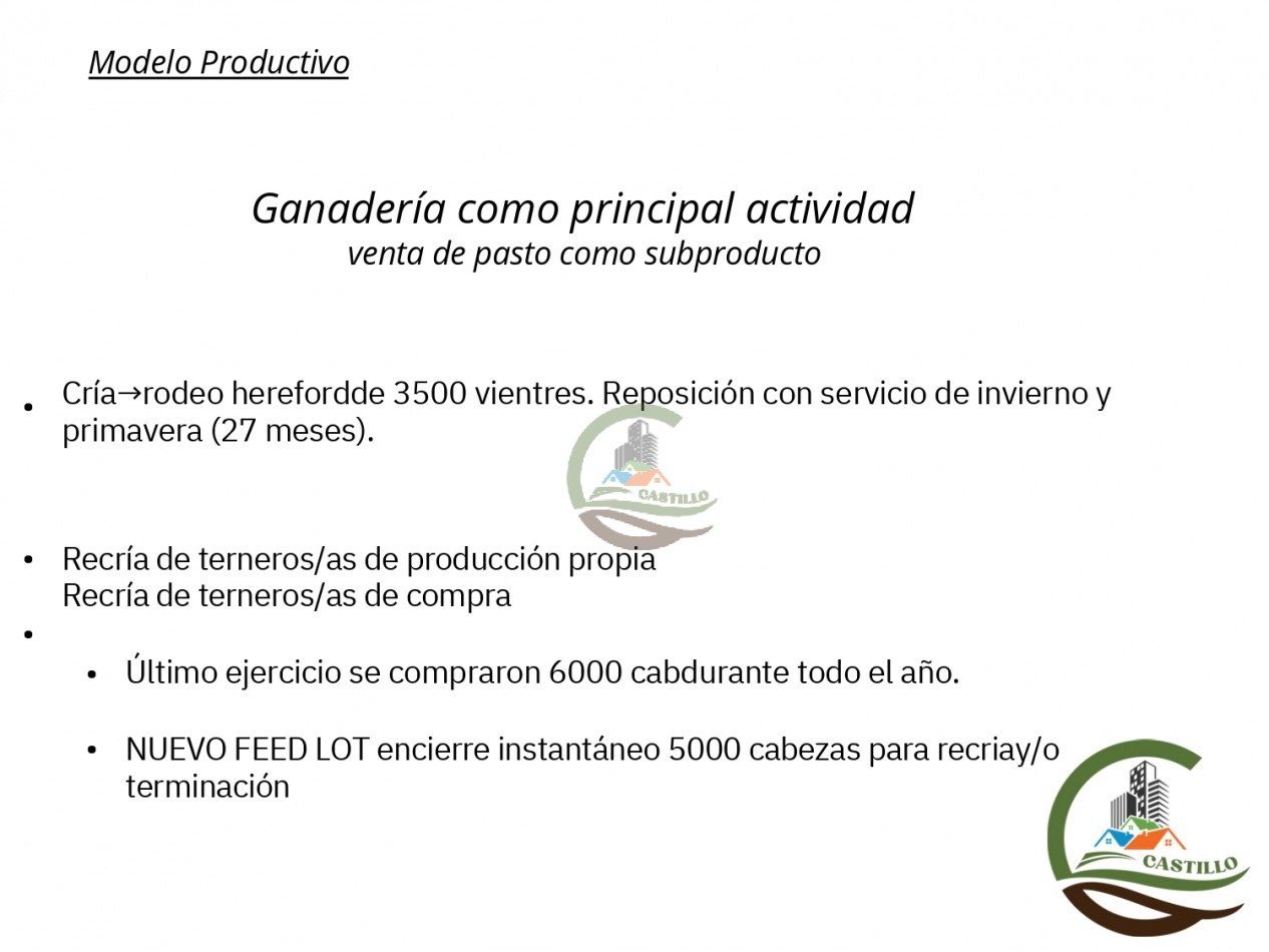 70000 ha Mixto - Rio Negro