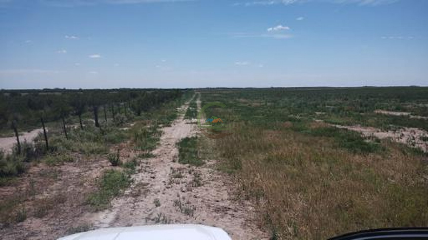 1900 Ha Mixto - Laboulaye - Cordoba