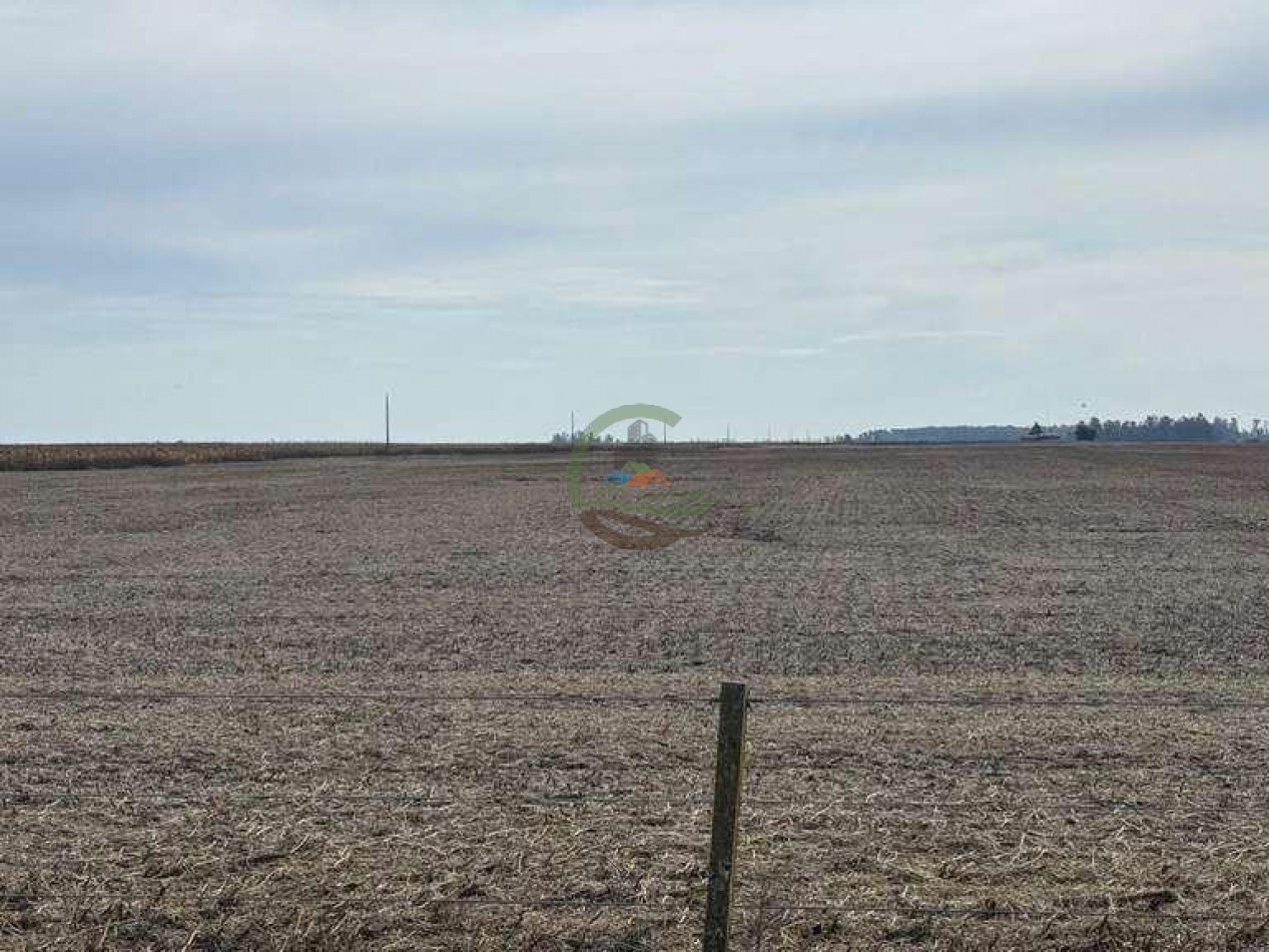 639 Ha Mixto - Urdampilleta - Bolivar
