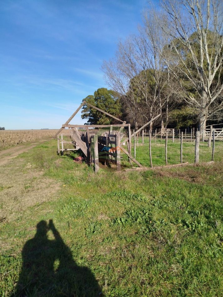 72 Ha Mixtas - Bolivar  - Pirovano