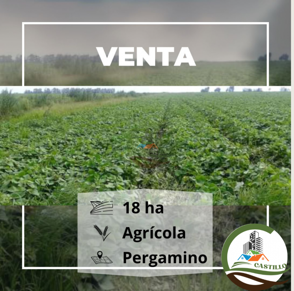 18 ha agricola - pergamino