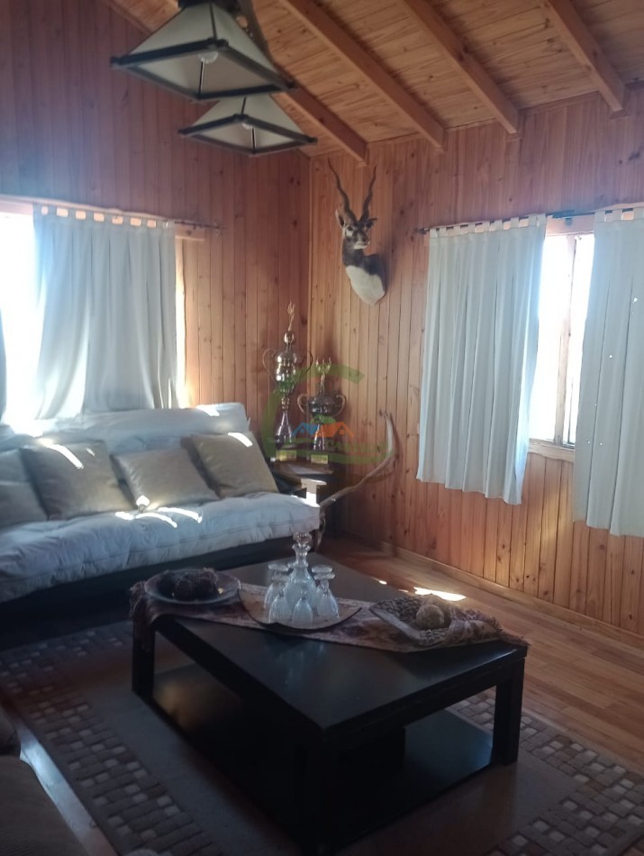 2500 ha Coto de caza - Quehue - La Pampa