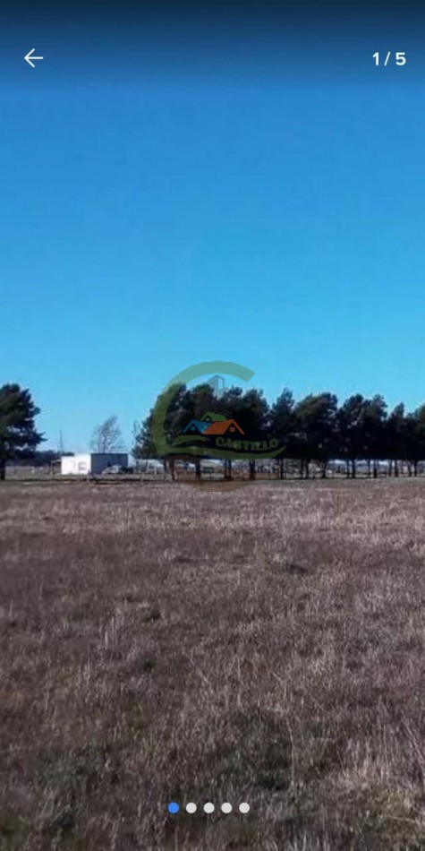 885 ha Ganadero - Alvear