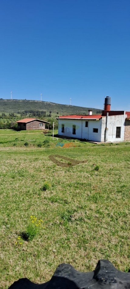 320 Ha Mixtas -  Maldonado - Uruguay