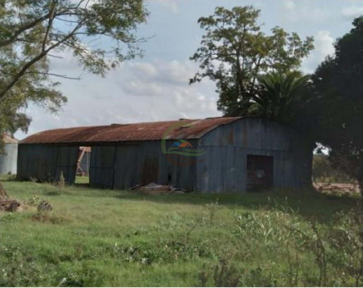 975 Ha Agricolas - San Antonio de Areco